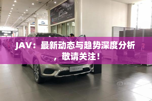 JAV：最新动态与趋势深度分析，敬请关注！