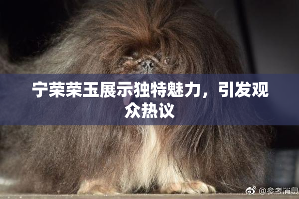宁荣荣玉展示独特魅力，引发观众热议
