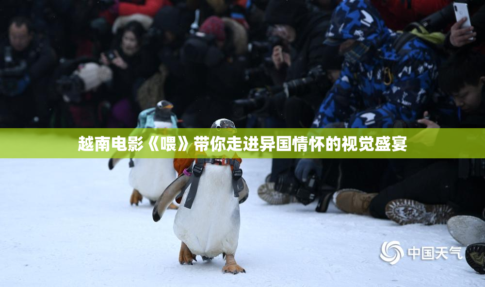 越南电影《喂》带你走进异国情怀的视觉盛宴