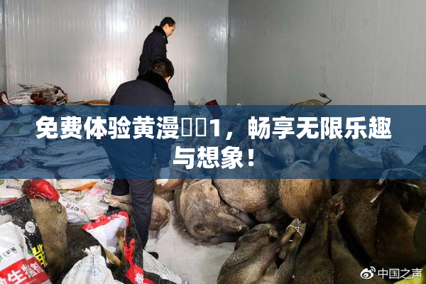 免费体验黄漫❌‌1，畅享无限乐趣与想象！