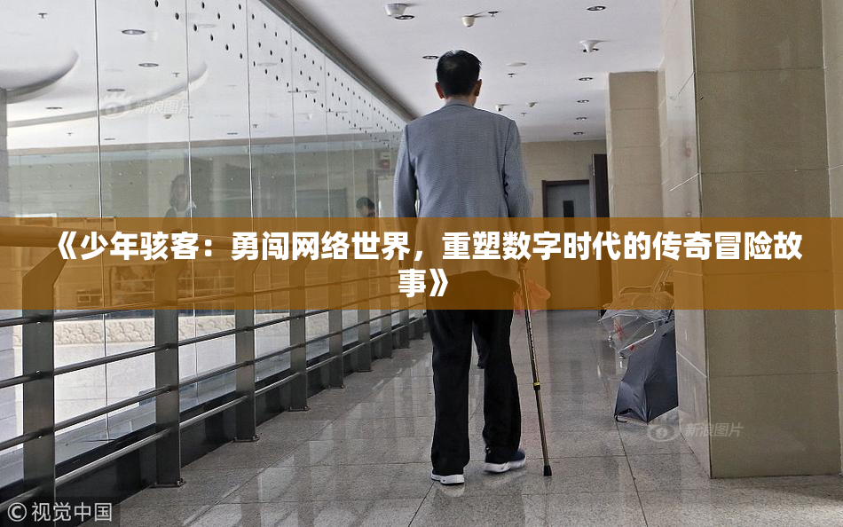 《少年骇客：勇闯网络世界，重塑数字时代的传奇冒险故事》