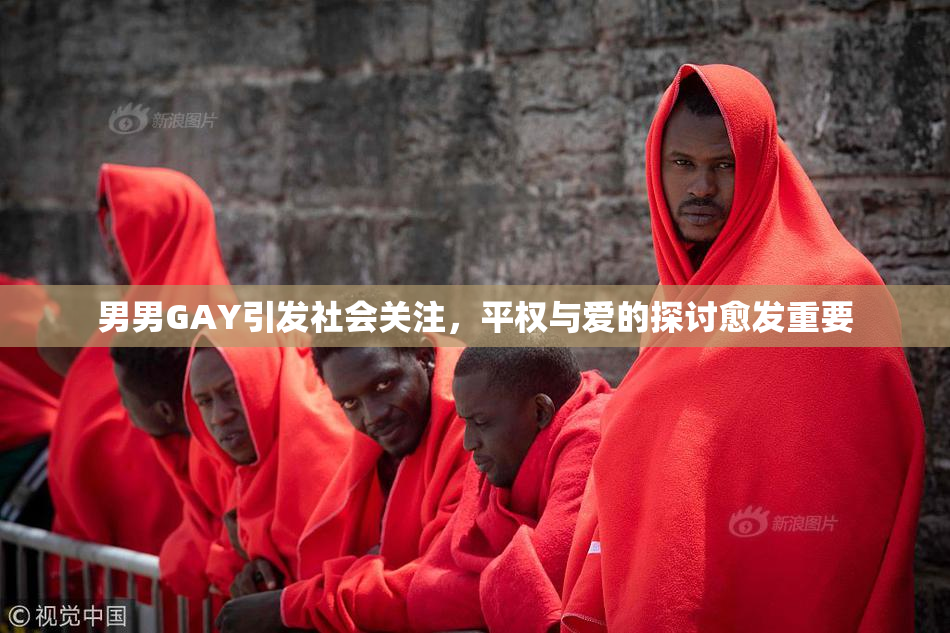 男男GAY引发社会关注，平权与爱的探讨愈发重要