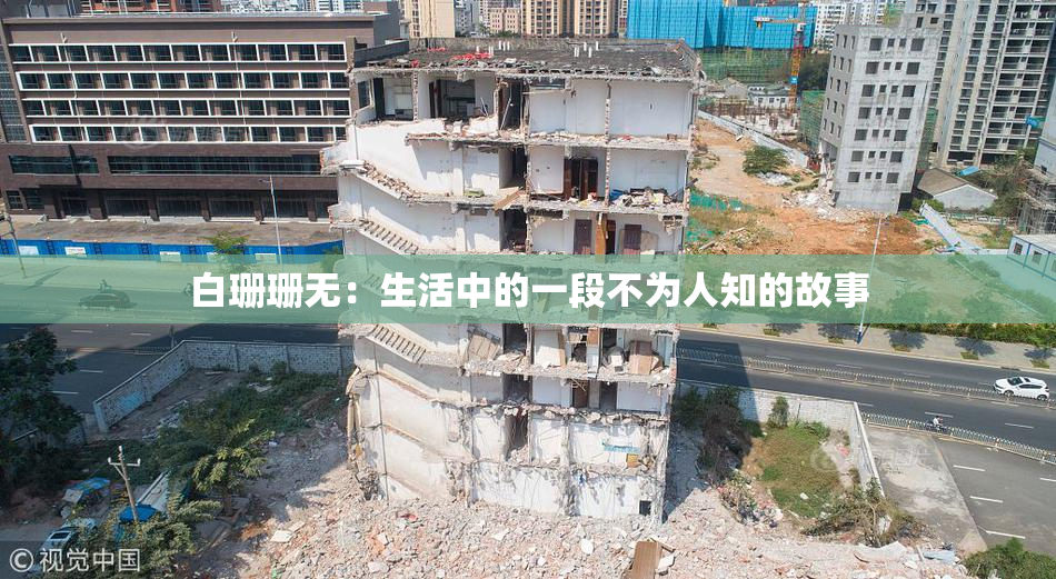 白珊珊无：生活中的一段不为人知的故事