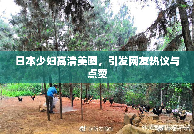 日本少妇高清美图，引发网友热议与点赞