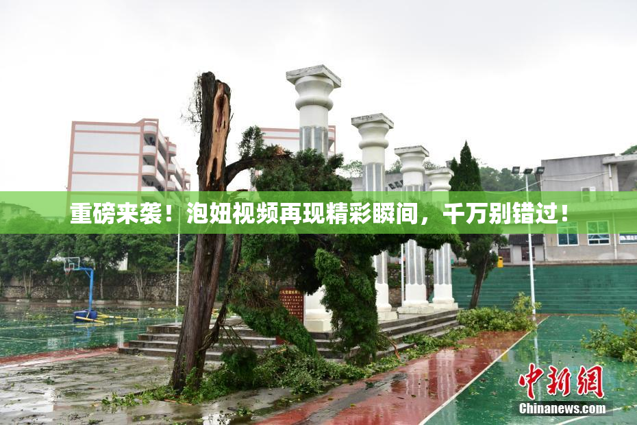 重磅来袭！泡妞视频再现精彩瞬间，千万别错过！