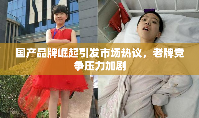 国产品牌崛起引发市场热议，老牌竞争压力加剧