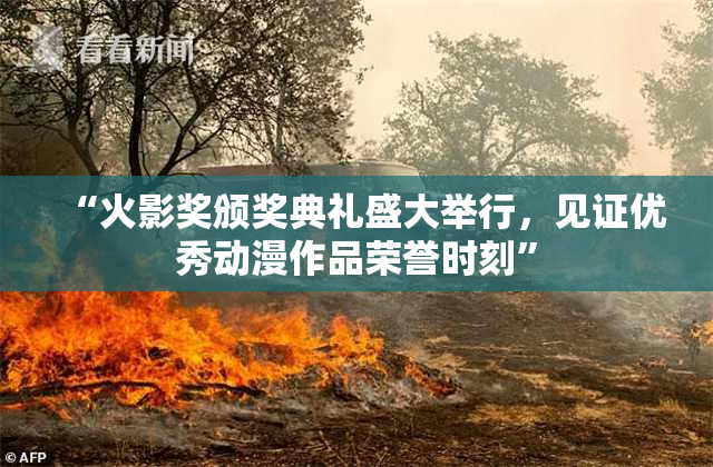“火影奖颁奖典礼盛大举行，见证优秀动漫作品荣誉时刻”