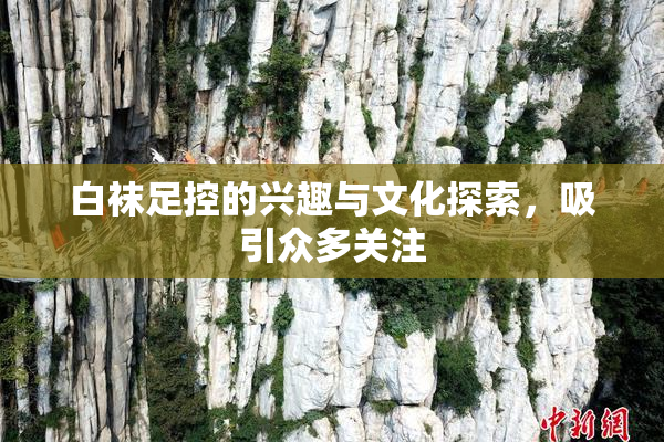 白袜足控的兴趣与文化探索，吸引众多关注