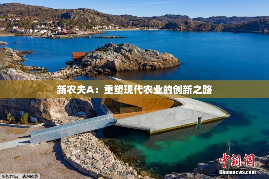 新农夫A：重塑现代农业的创新之路