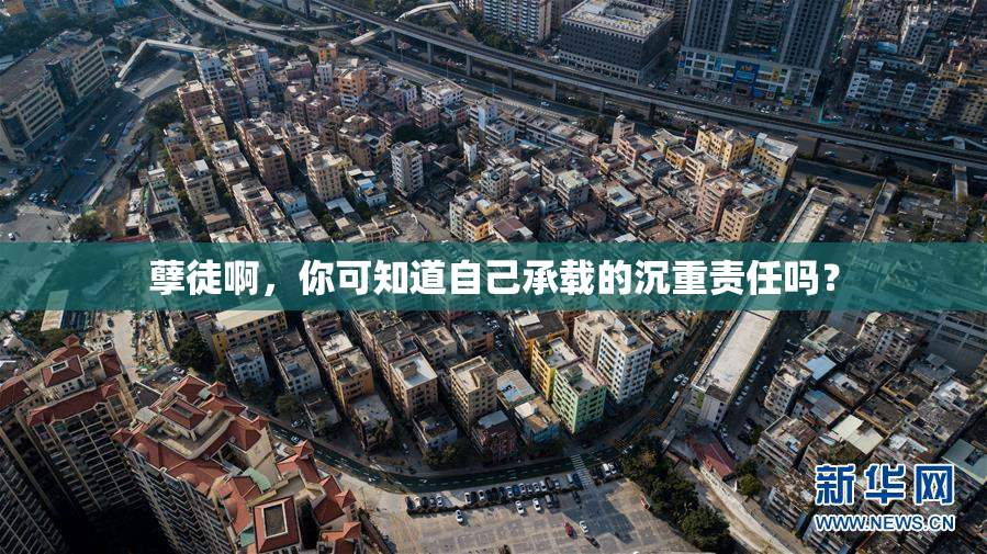孽徒啊，你可知道自己承载的沉重责任吗？