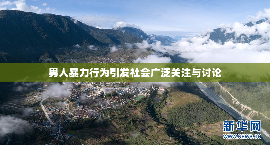 男人暴力行为引发社会广泛关注与讨论