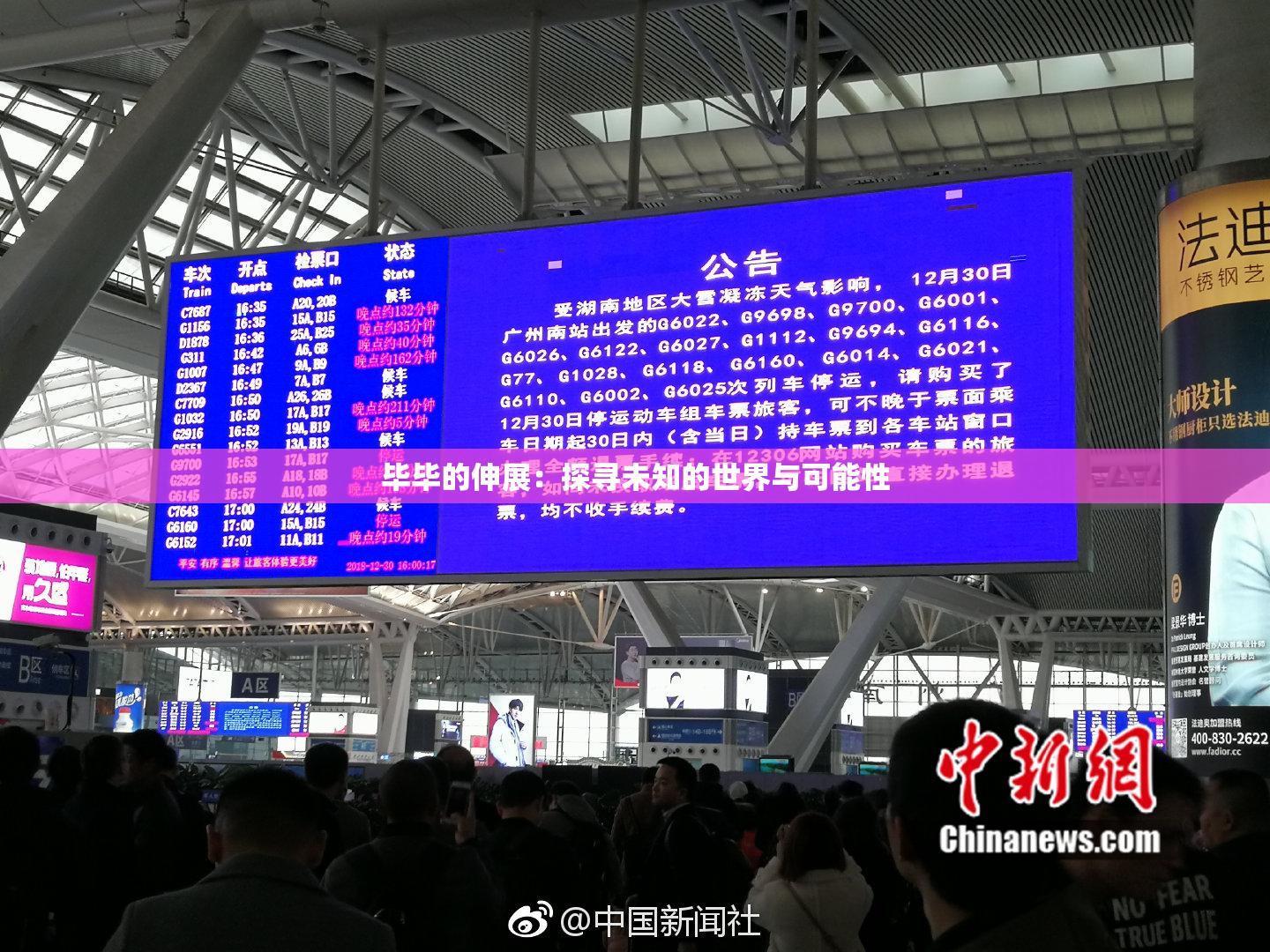 毕毕的伸展：探寻未知的世界与可能性
