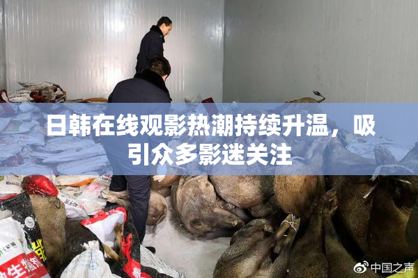 日韩在线观影热潮持续升温，吸引众多影迷关注
