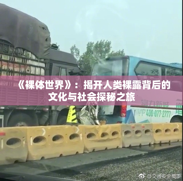 《裸体世界》：揭开人类裸露背后的文化与社会探秘之旅