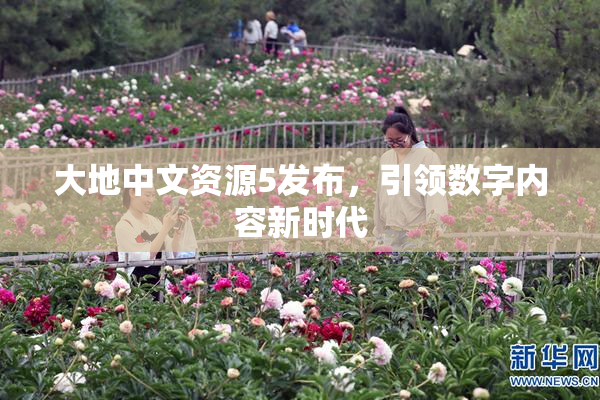 大地中文资源5发布，引领数字内容新时代
