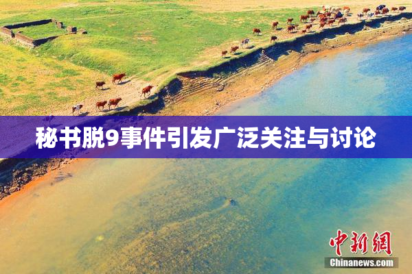 秘书脱9事件引发广泛关注与讨论