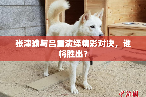 张津瑜与吕重演绎精彩对决，谁将胜出？