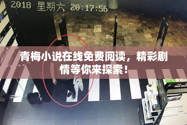 青梅小说在线免费阅读，精彩剧情等你来探索！