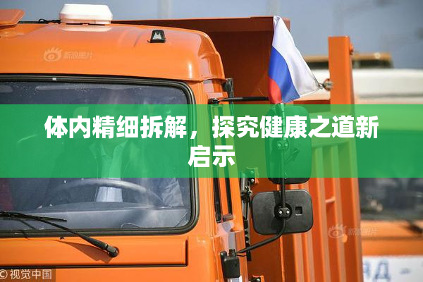 体内精细拆解，探究健康之道新启示