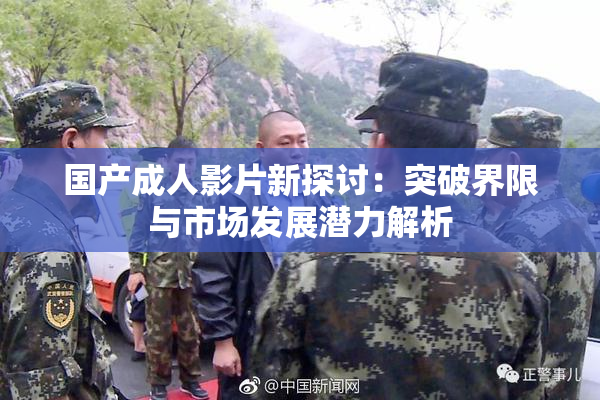 国产成人影片新探讨：突破界限与市场发展潜力解析