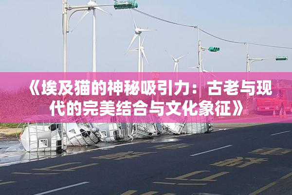 《埃及猫的神秘吸引力：古老与现代的完美结合与文化象征》