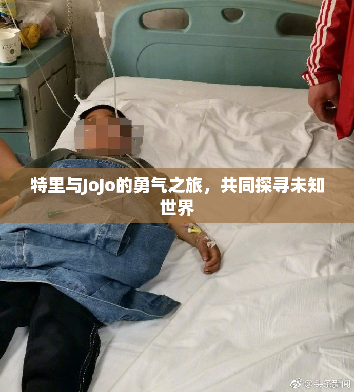 特里与JoJo的勇气之旅，共同探寻未知世界
