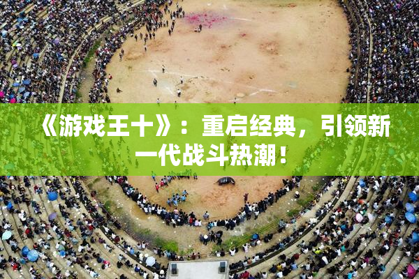 《游戏王十》：重启经典，引领新一代战斗热潮！