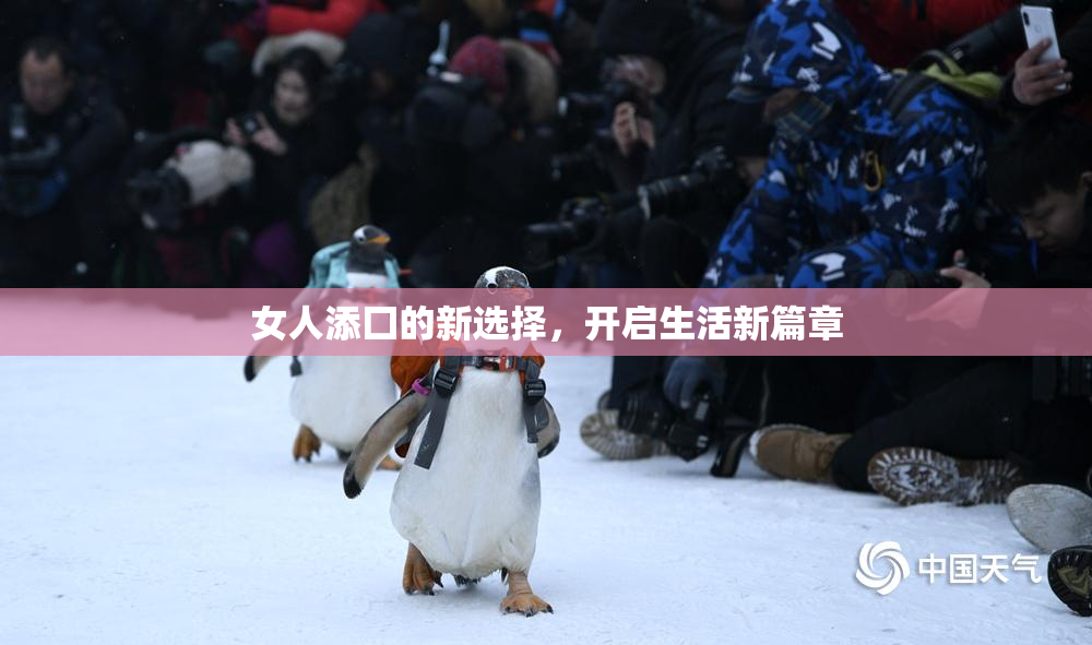 女人添囗的新选择，开启生活新篇章