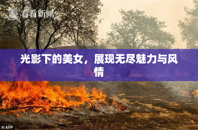 光影下的美女，展现无尽魅力与风情
