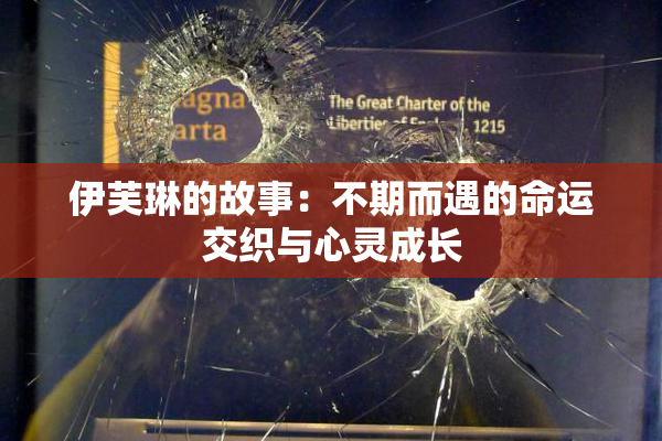 伊芙琳的故事：不期而遇的命运交织与心灵成长