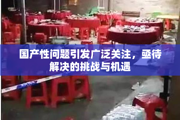 国产性问题引发广泛关注，亟待解决的挑战与机遇