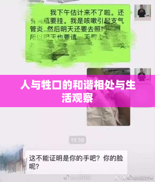 人与牲口的和谐相处与生活观察