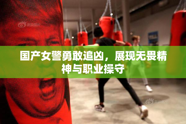 国产女警勇敢追凶，展现无畏精神与职业操守