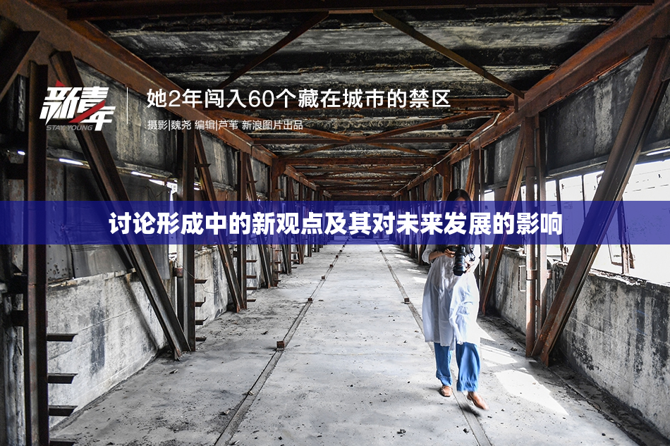 讨论形成中的新观点及其对未来发展的影响