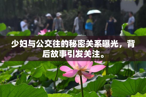 少妇与公交往的秘密关系曝光，背后故事引发关注。