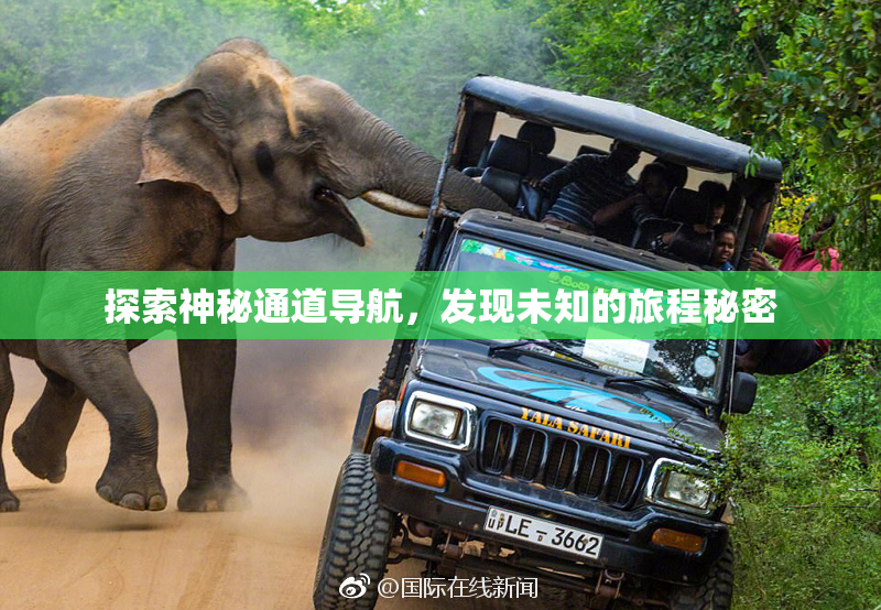探索神秘通道导航，发现未知的旅程秘密