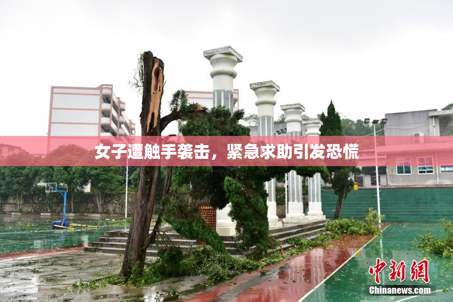 女子遭触手袭击，紧急求助引发恐慌