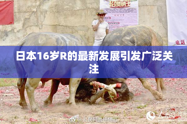日本16岁R的最新发展引发广泛关注