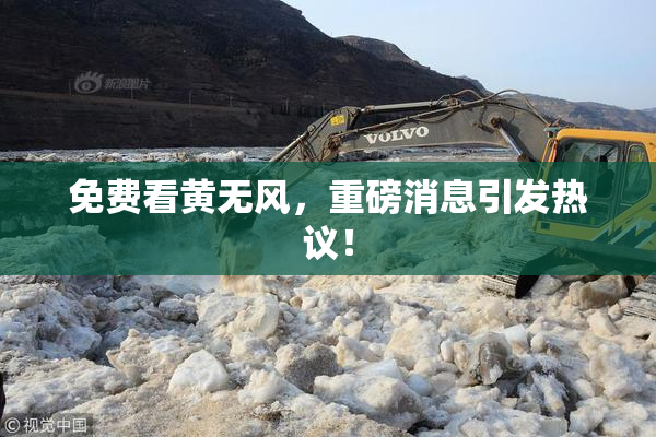 免费看黄无风，重磅消息引发热议！