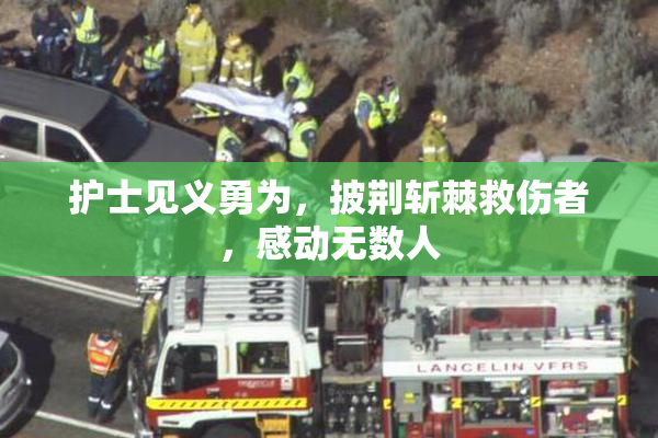 护士见义勇为，披荆斩棘救伤者，感动无数人