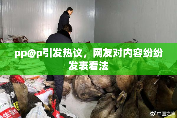 pp@p引发热议，网友对内容纷纷发表看法