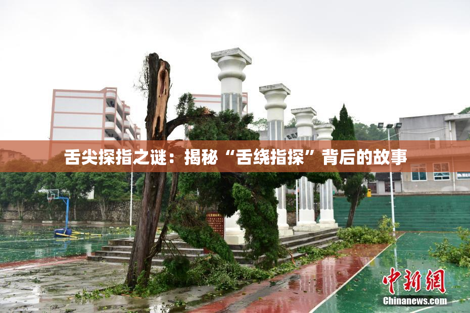 舌尖探指之谜：揭秘“舌绕指探”背后的故事