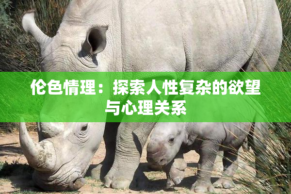 伦色情理：探索人性复杂的欲望与心理关系
