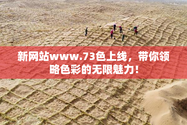 新网站www.73色上线，带你领略色彩的无限魅力！