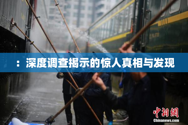 ：深度调查揭示的惊人真相与发现