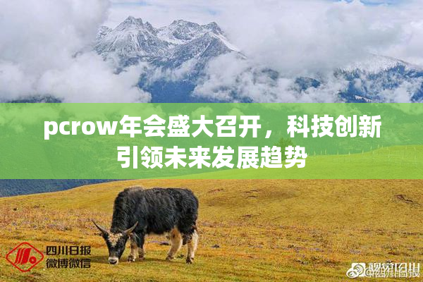pcrow年会盛大召开，科技创新引领未来发展趋势