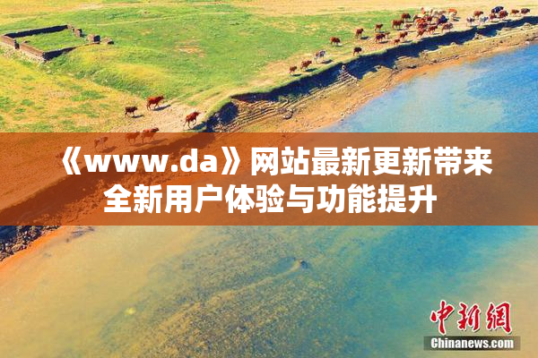 《www.da》网站最新更新带来全新用户体验与功能提升