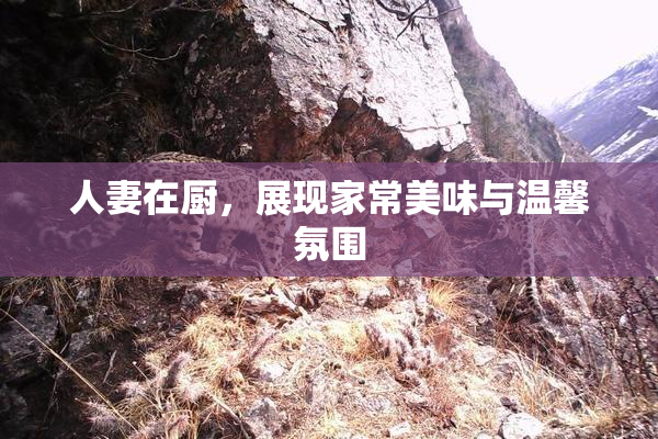 人妻在厨，展现家常美味与温馨氛围