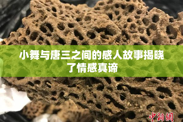 小舞与唐三之间的感人故事揭晓了情感真谛