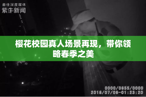 樱花校园真人场景再现，带你领略春季之美